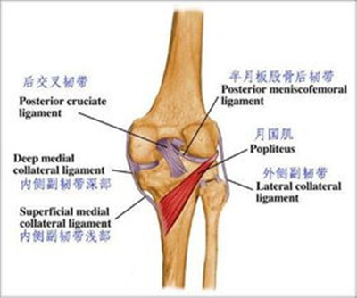 福州中德骨科医院